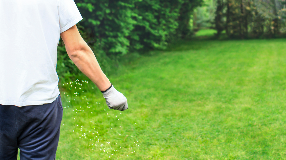 These Are the Lawn Fertilizers Pros Swear By for Thicker, Greener Grass