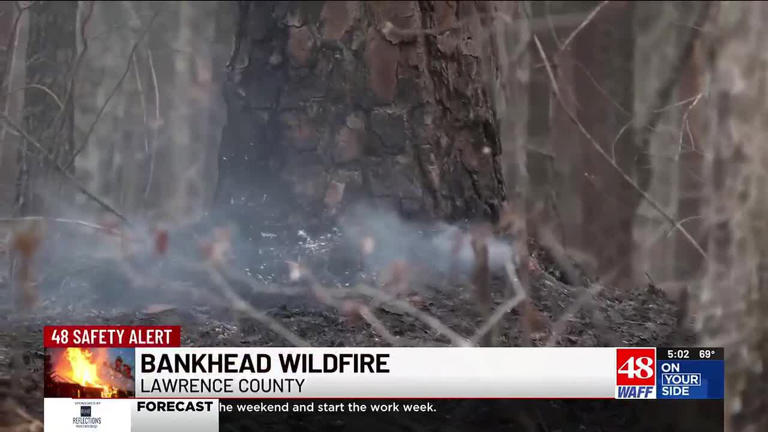 Forestry officials are asking you not to burn after Bankhead fire