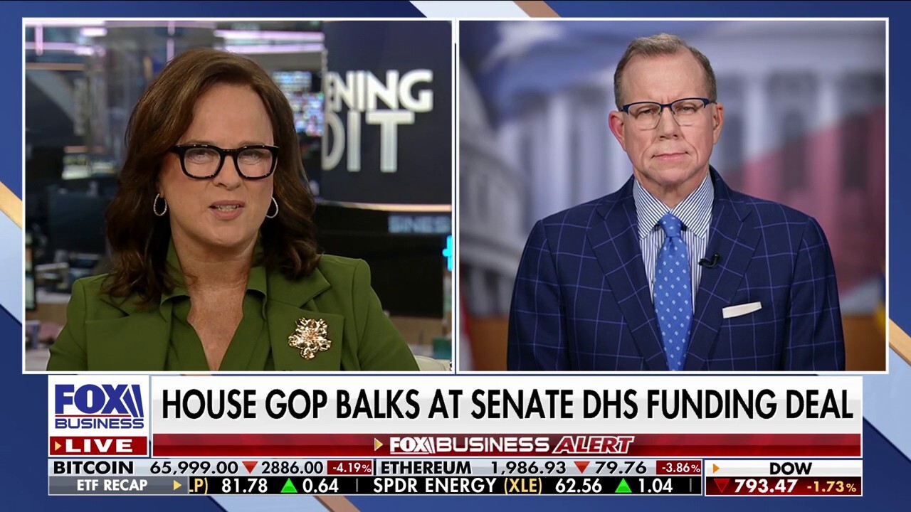 President Trump: Senate DHS funding bill not 'appropriate'