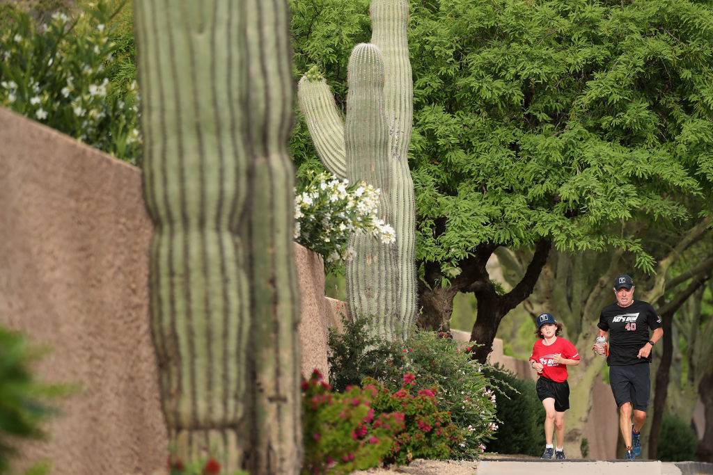 <p>When in Phoenix, Arizona it's almost impossible not to notice the towering cacti. The hot, dry climate mixed with the Southwestern landscape makes for a nature-friendly area for everyone to explore. One of the first places to go is the Phoenix Sonoran Preserve, which has tons of desert wildlife and hiking and biking trails.</p> <p>More experienced hikers may want to go to Camelback Mountain at the Echo Canyon Recreation Area. The trails are made of sandstone and hikers often see tons of animals such as rabbits, snakes, lizards, birds, antelopes, and squirrels.</p>