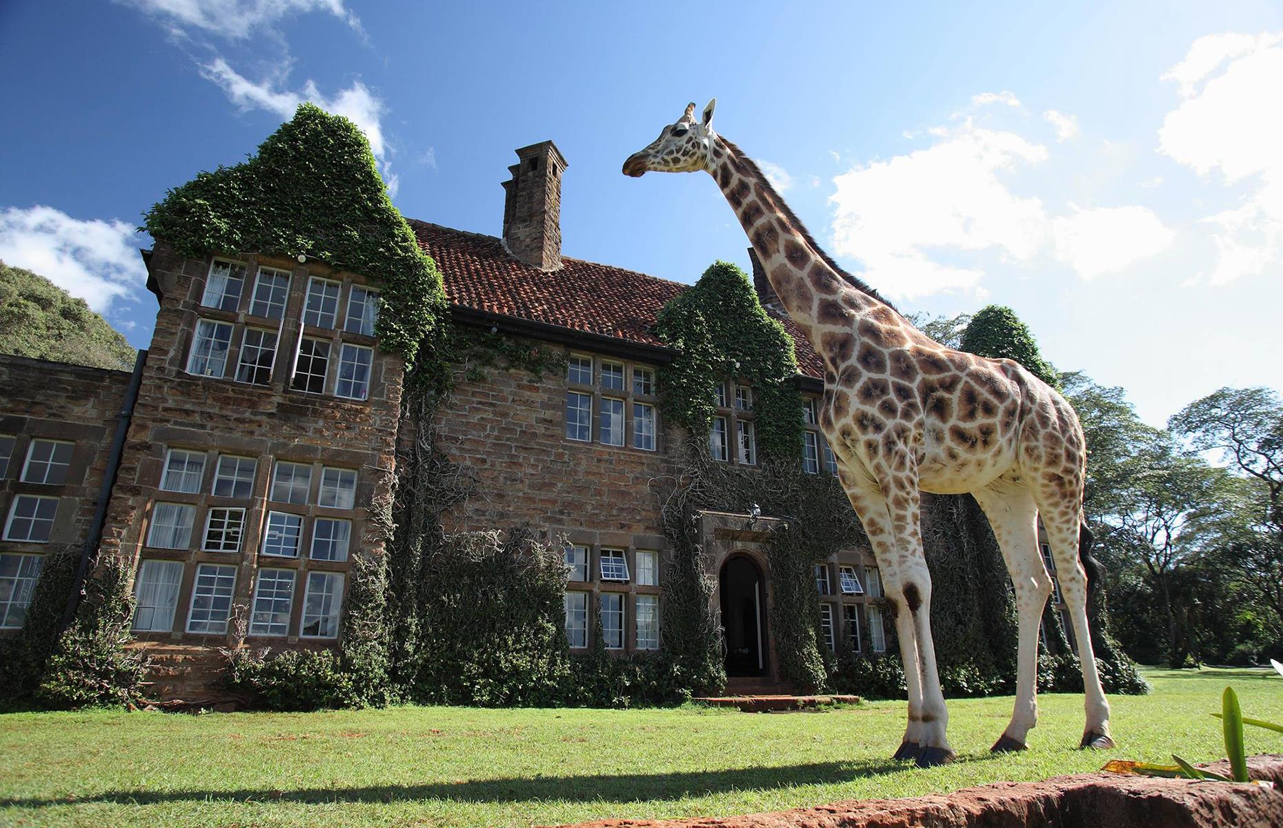 A Majestic Irish Manor And More Of The World's Coolest Hotels