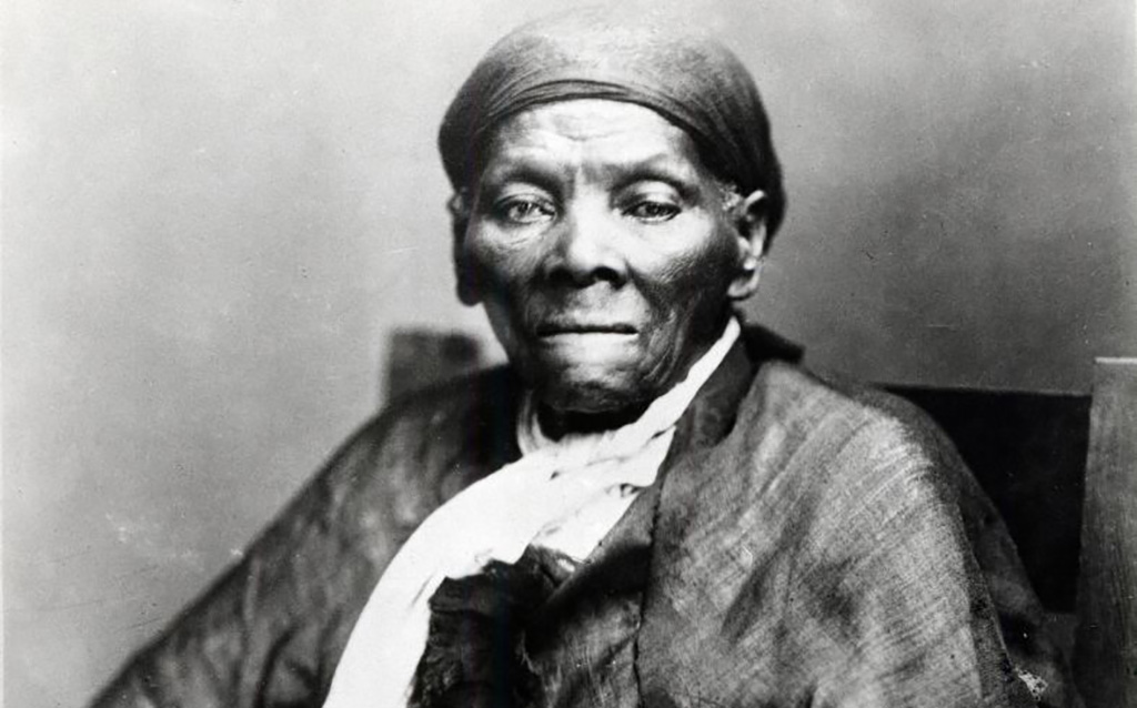 <p>While serving as a nurse in Port Royal, Harriet Tubman used the local fauna to help heal soldiers who were suffering and dying from dysentery. She also risked the chance of getting smallpox while tending to others, although she never contracted the disease. </p> <p>This led some people to believe that she was protected by God. As a nurse, she received government rations, but when other freed slaves saw this as special treatment, she quickly gave them up and started selling pies instead. </p>
