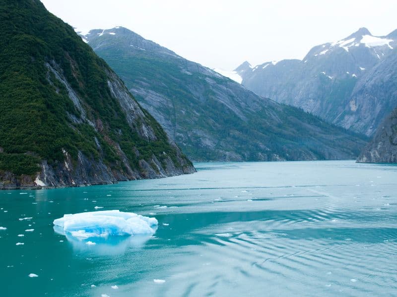 An iceberg floats through Tracy Arm Fjord