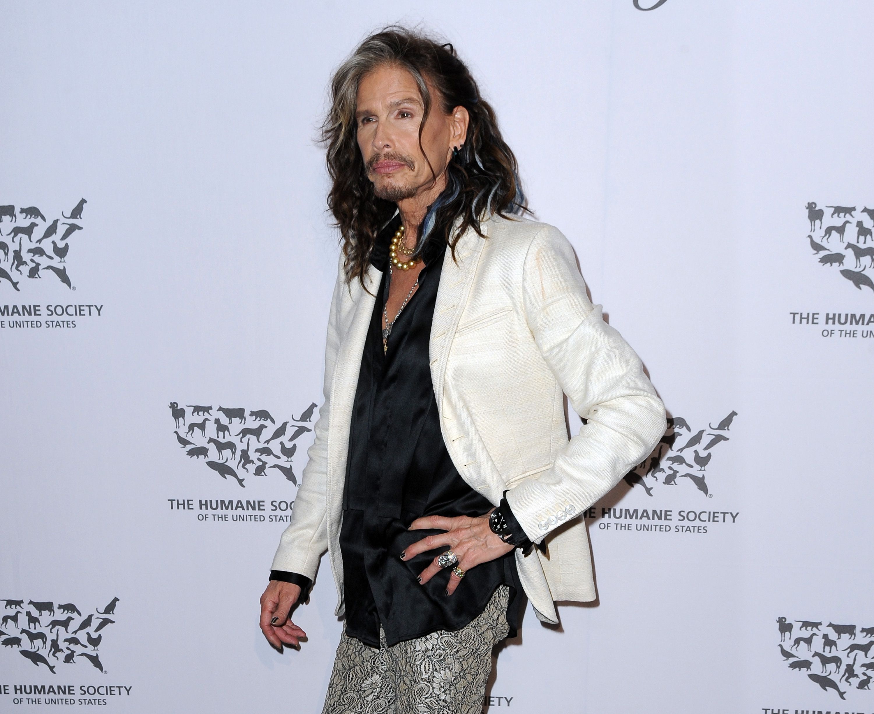 HOLLYWOOD, CA - MAY 07: Musician Steven Tyler attends The Humane Society of the United States' to the Rescue Gala at Paramount Studios on May 7, 2016 in Hollywood, California. (Photo by Angela Weiss/Getty Images for The Humane Society Of The United State )