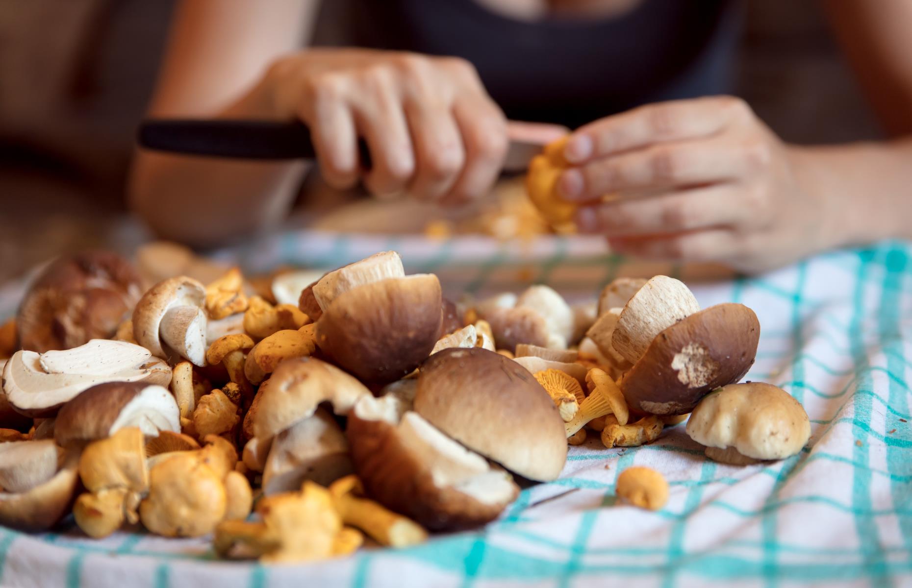 38 truly terrible cooking tips you should NEVER try at home