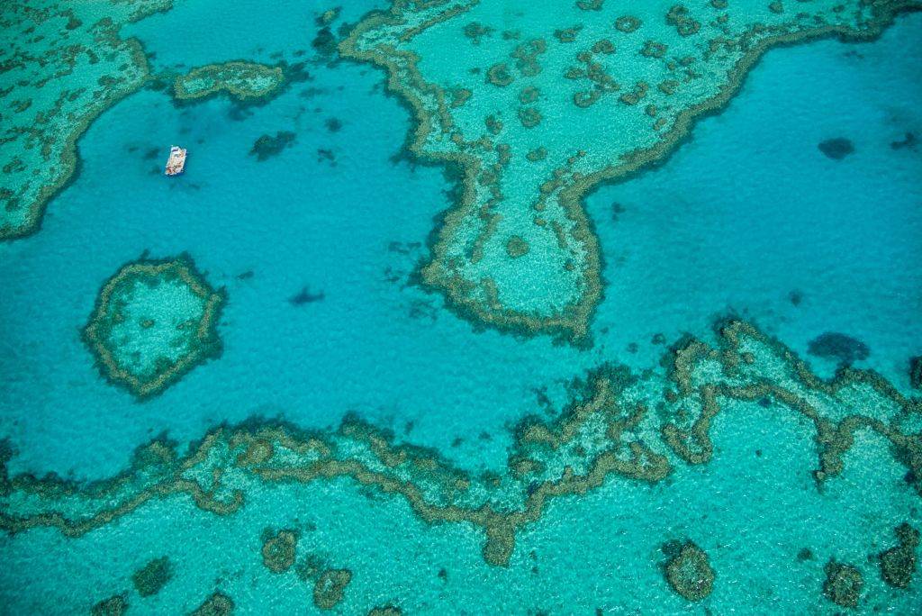 <p>The Great Barrier Reef in Queensland, Australia is the world's biggest coral reef, which stretches over 1,429 miles. Many visitors go there to dive below the water, but a helicopter tour will give them an unforgettable aerial view.</p> <p>Many have reported sightings of sea creatures such as sharks, turtles, and stingrays from their helicopter tours. Also, those who want to see both above and below the reef should find the tours that offer snorkel and dive stops on anchored pontoons. If you choose to take a longer trip, they stop in other areas of Australia including the Daintree Rainforest, Cairns Highlands, and the Mossman and Baron gorges.</p>
