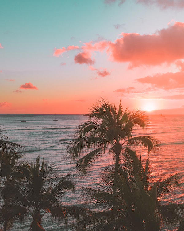 Hawaii is known for its stunning natural beauty, warm weather, and variety of activities. This chain of islands is the perfect destination for anyone looking to escape the hustle and bustle of everyday life and immerse themselves in a serene tropical paradise. If you’re planning a trip to Hawaii, here are some places that you...