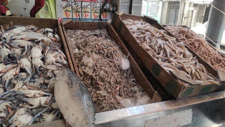 ارتفاع البلطي.. أسعار الأسماك والمأكولات البحرية اليوم في سوق العبور