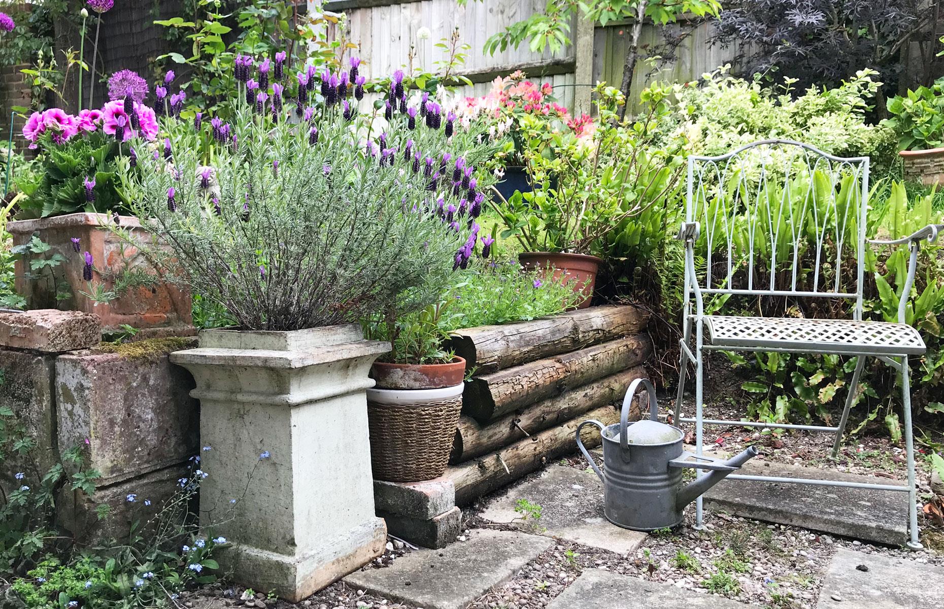 Inspiring garden ideas to elevate your outdoor living space