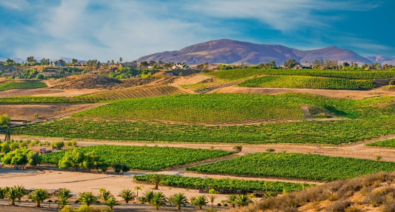 Yes, most people think of wine tasting, but there are so many other fun things to do in Temecula for every taste and budget.
