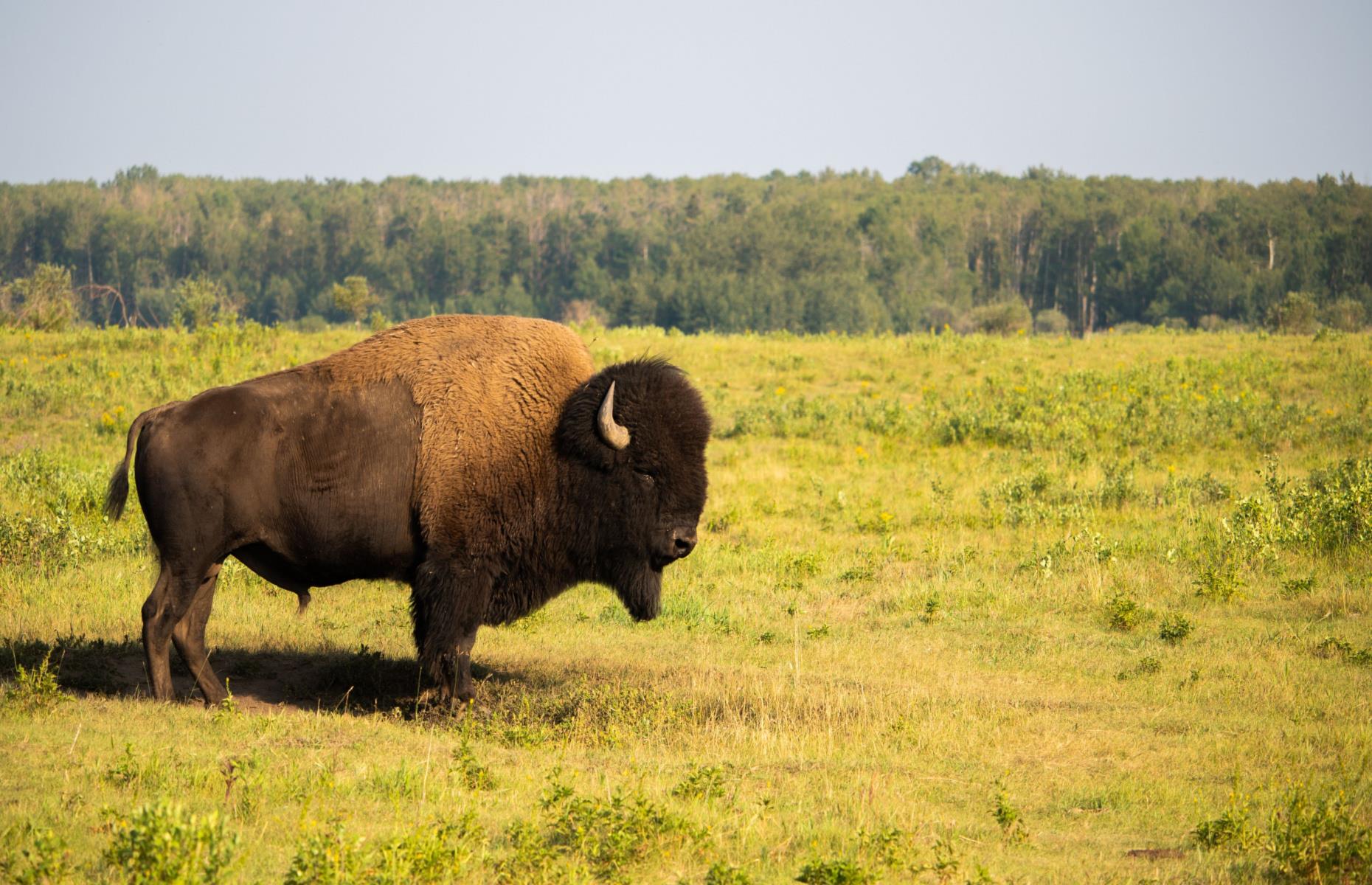 These are Canada's most beautiful wilderness spots