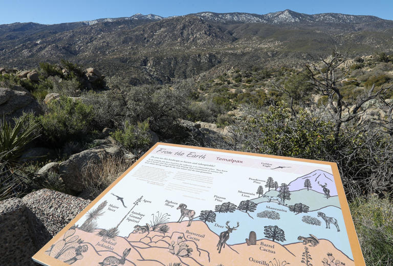 An informational display overlooks the landscape of the Santa Rosa National Monument at the Cahuilla Tewanet scenic overlook. The next Friends of the Desert Mountain Birding Walk-About begins at the Santa Rose & San Jactinto Mountains National Monument Visitor Center in Palm Desert.