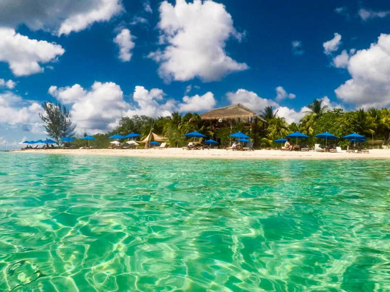 Is Cozumel Worth Visiting in 2024? Travel Guide + Tips