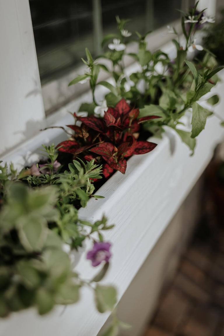 Easy Diy Window Box Step By Step