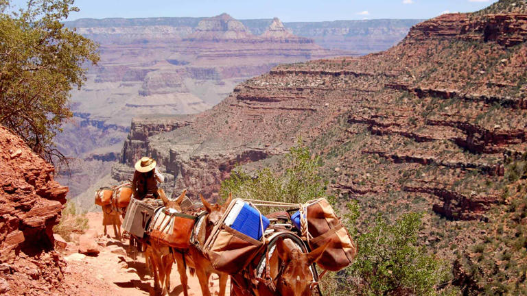 From rafting to climbing to snorkeling and horseback riding, these family-friendly national park adventures are sure to create memories that last a lifetime.