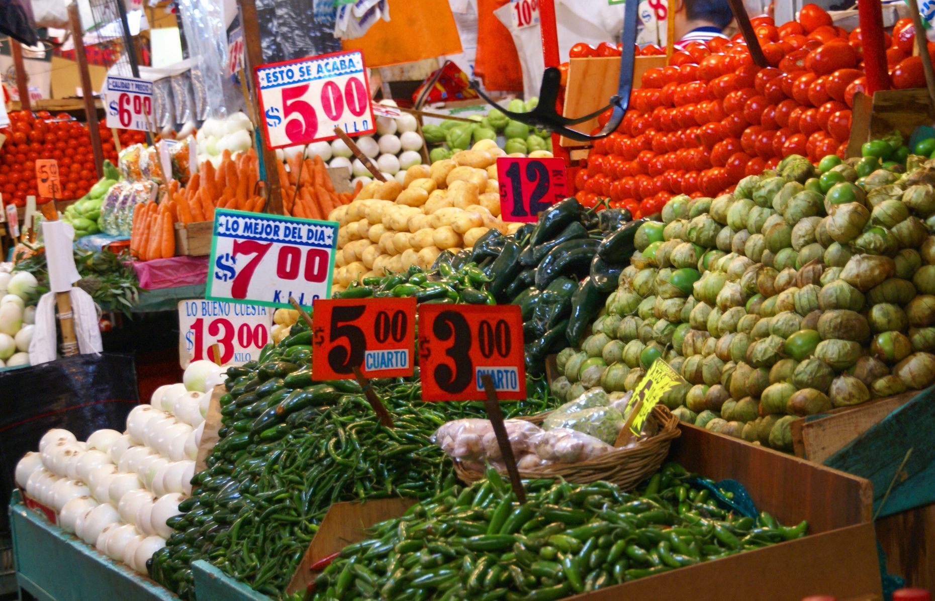 Monthly minimum: $175 You shouldn’t have any trouble finding great, inexpensive food in Mexico’s capital. According to <a href="https://www.investopedia.com/articles/personal-finance/111015/how-much-money-do-you-need-live-mexico-city.asp" rel="noreferrer noopener">Investopedia</a>, “Grocery stores, bakeries, and markets are located everywhere in Mexico City, making it easy to keep your pantry stocked and your refrigerator full.” And if you’re looking to eat out, you can easily get a meal from a local restaurant or street vendor for just $5.