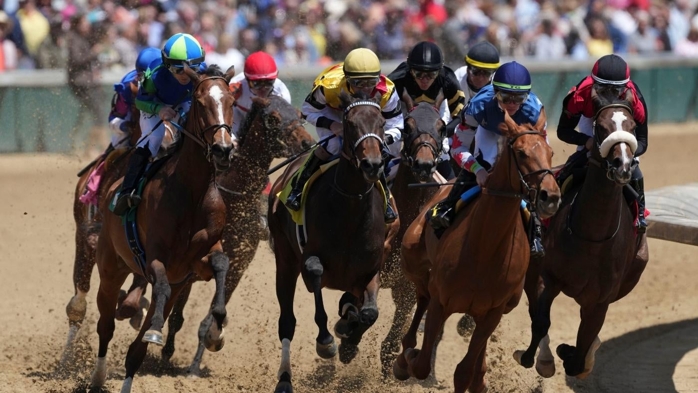 2024 Tampa Bay Derby Predictions Time Odds Horses Contenders   AA1aPMyJ.img