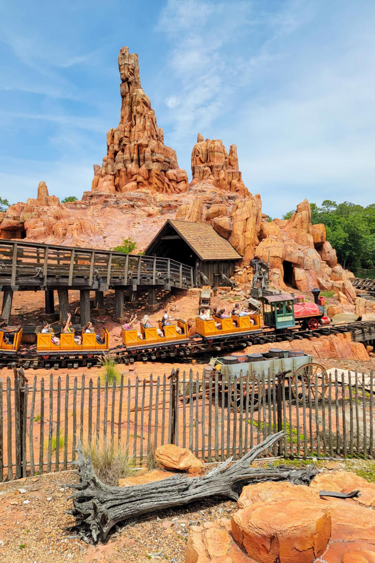 10+ Best Rides At Magic Kingdom For Adults