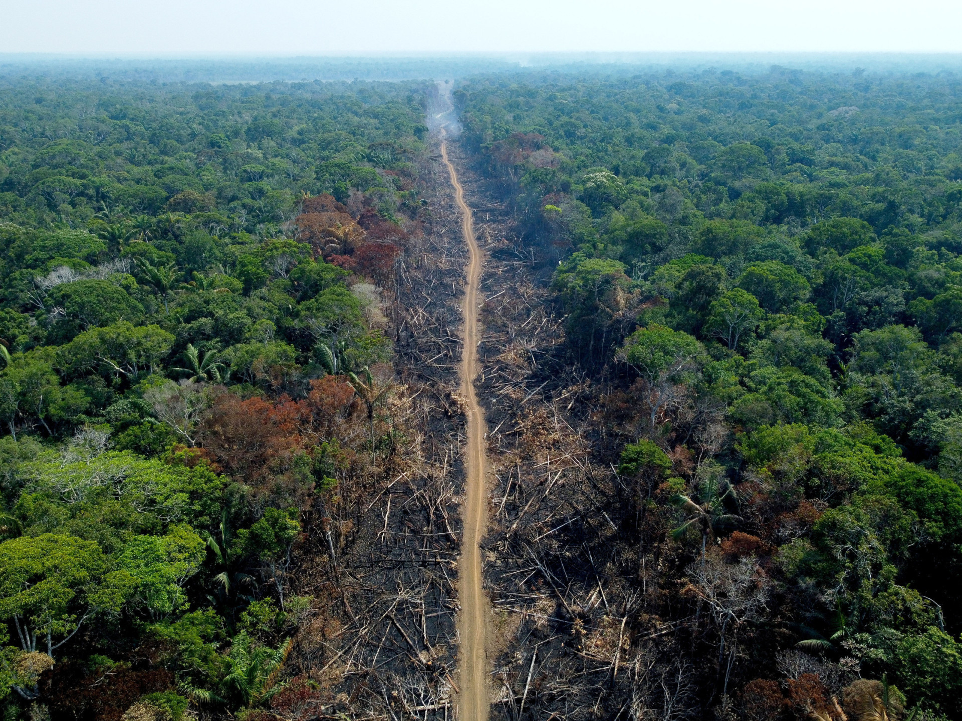 <p>La Terre change à un rythme exponentiel d'année en année, et certains des lieux les plus célèbres de la planète montrent déjà les conséquences du <a href="https://www.starsinsider.com/fr/lifestyle/454518/lindustrie-laitiere-et-le-changement-climatique">changement climatique</a> et de l'intervention humaine. Ces sites emblématiques sont chargés d'histoire, mais ils subissent tellement de dommages qu'ils sont menacés d'extinction. </p><p>Cliquez sur cette galerie et découvrez ces sites célèbres qui sont malheureusement menacés de disparaître. </p><p>Tu pourrais aussi aimer:<a href="https://www.starsinsider.com/n/119580?utm_source=msn.com&utm_medium=display&utm_campaign=referral_description&utm_content=450812v3"> Les stars aux sourires "imparfaits"</a></p>