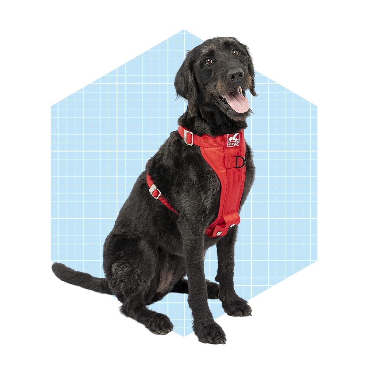 <h3>Kurgo Tru-Fit Harness Seat Belt</h3> <p>Larger breeds may not fit inside a padded, safety-tested car seat for dogs. To keep these canines confined, a <a href="https://www.familyhandyman.com/list/best-dog-harnesses/" rel="noopener noreferrer">harness</a> clipped to an existing seat belt works best. The <a href="https://www.amazon.com/Kurgo-Certified-Seatbelt-Enhanced-Strength/dp/B00LNJ92E2" rel="nofollow noopener noreferrer">Kurgo Tru-Fit</a> offers one of the best economical options for big dogs weighing 75 to 100 pounds. It also comes in five sizes to accommodate smaller pups as well.</p> <p>After voluntary testing with the Center for Pet Safety, Kurgo redesigned and improved an earlier version to result in the perfected Kurgo Tru-Fit. It now features a wide, padded chest plate to restrain dogs in case of impact, five points of adjustment for fitting, a leash attachment on the front and shoulders and a seat belt loop with carabiner to connect to any existing seat belt.</p> <p><strong>Pros</strong></p> <ul> <li>Comes in five sizes to accommodate small to large dogs (up to 100 pounds)</li> <li>Crash-tested</li> <li>Five points of adjustment for a better fit</li> <li>Two leash attachment options for added control when walking</li> <li>Universal seat belt attachment</li> <li>Economically-priced</li> </ul> <p><strong>Cons</strong></p> <ul> <li>The heavier material may not be comfortable for small dogs</li> </ul> <p class="listicle-page__cta-button-shop"><a class="shop-btn" href="https://www.amazon.com/Kurgo-Certified-Seatbelt-Enhanced-Strength/dp/B00LNJ92E2">Shop Now</a></p>