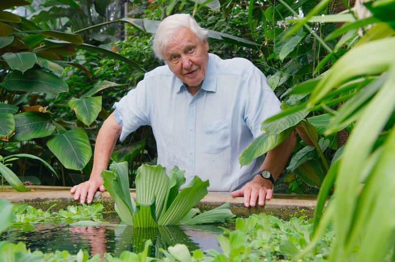 David Attenborough speaks of horrible toilet incident which left him ...