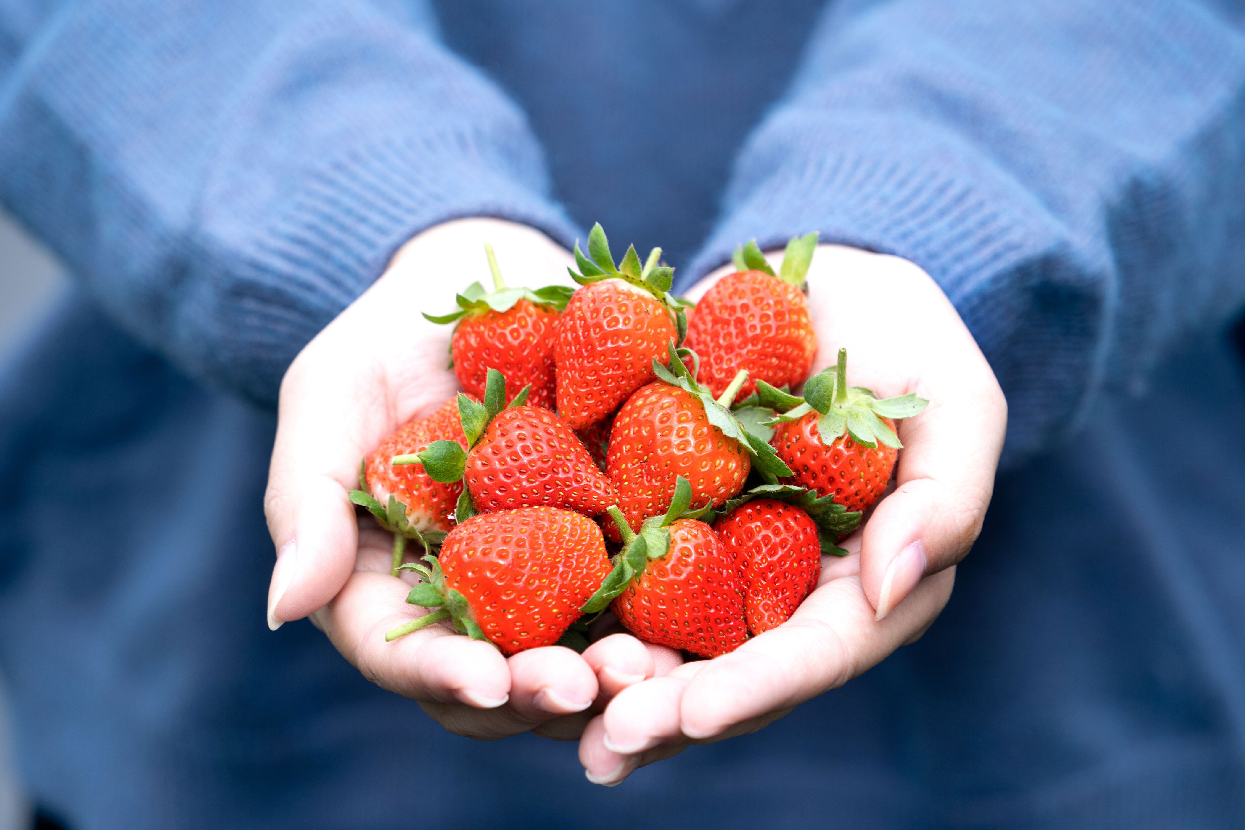 la fruta que mejora la memoria y regula el cortisol