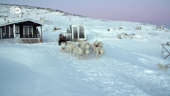 In Greenland, sled dogs run on melting glaciers