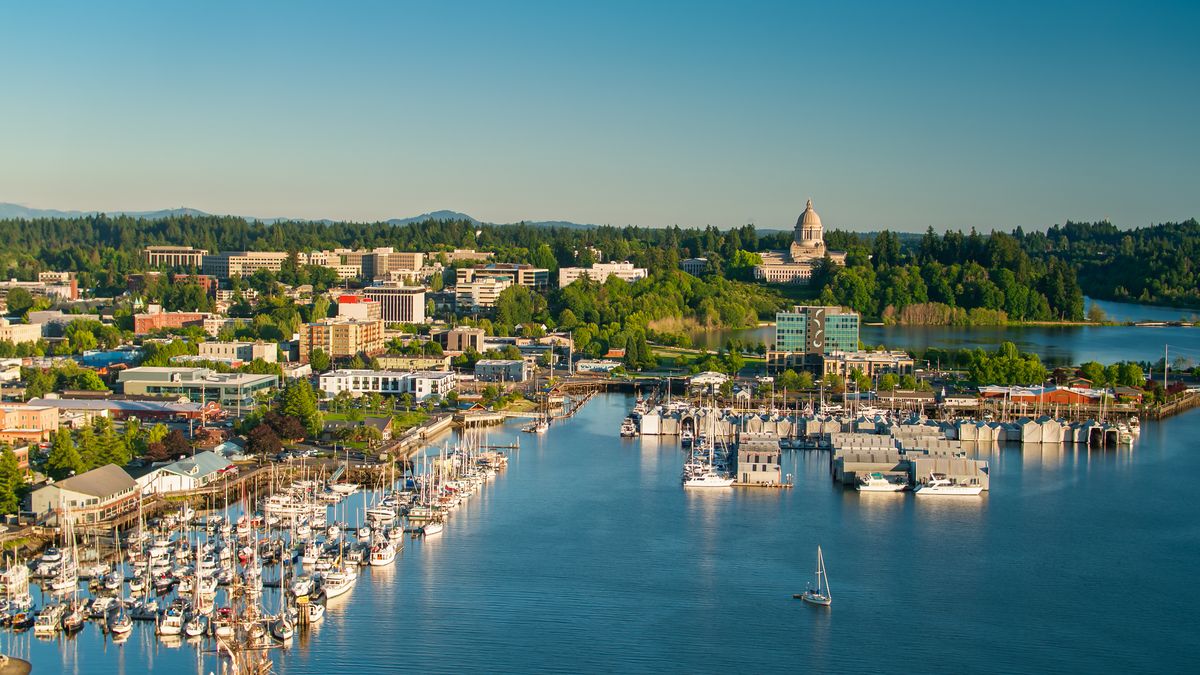 <p>Olympia is not only the capital of Washington, but also a charming city with a waterfront boardwalk, famed farmers market and the Billy Frank Jr. Nisqually National Wildlife Refuge. Its also filled with diverse cuisines, including Latin street food, Korean fare and Pacific Northwest oysters.</p><p><a class="body-btn-link" href="https://go.redirectingat.com?id=74968X1553576&url=https%3A%2F%2Fwww.tripadvisor.com%2FTourism-g58653-Olympia_Washington-Vacations.html&sref=https%3A%2F%2Fwww.goodhousekeeping.com%2Flife%2Ftravel%2Fg42815451%2Fbest-solo-travel-destinations-united-states%2F">Shop Now</a></p>