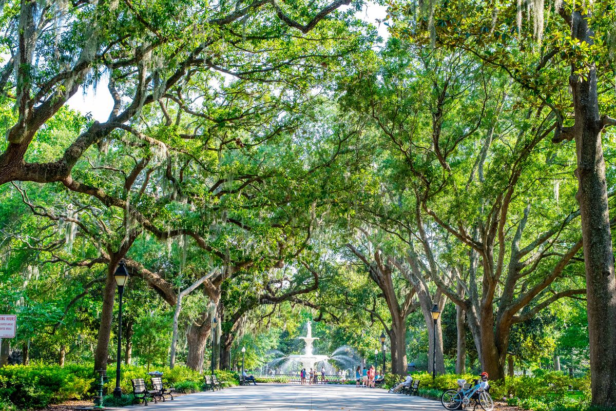 <p><a href="https://www.veranda.com/travel/weekend-guides/a39726291/weekend-travel-guide-savannah-georgia/">A visit to Savannah</a> is a step back in time, with centuries-old oak trees draped in Spanish moss, historic homes on every corner, and no shortage of Southern charm. After a day spent wandering the 22 (!) park squares—one of which was the backdrop for Forrest Gump’s famous lessons on life—grab a cocktail for a leisurely stroll down the cobbled River Street (it's legal to bring them with you).</p>