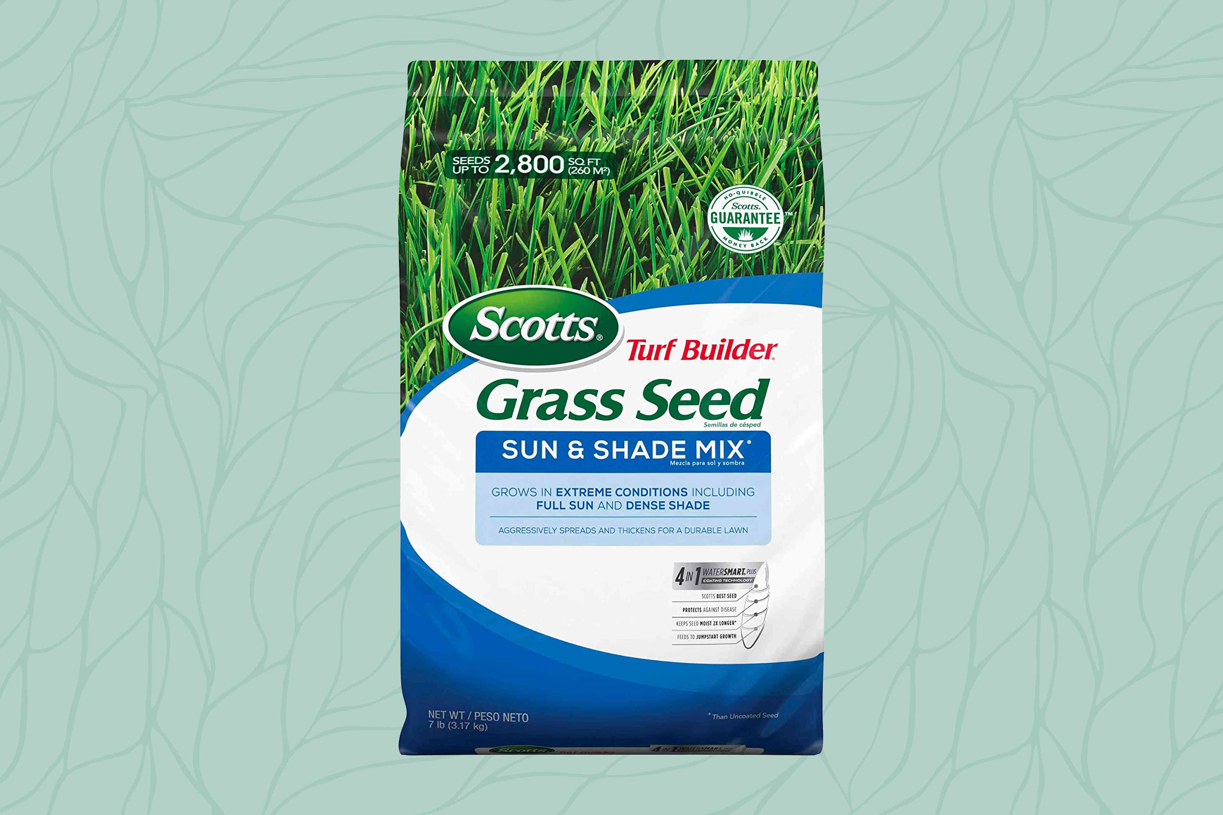 The 8 Best Grass Seed Of 2024 For A Luscious Landscape