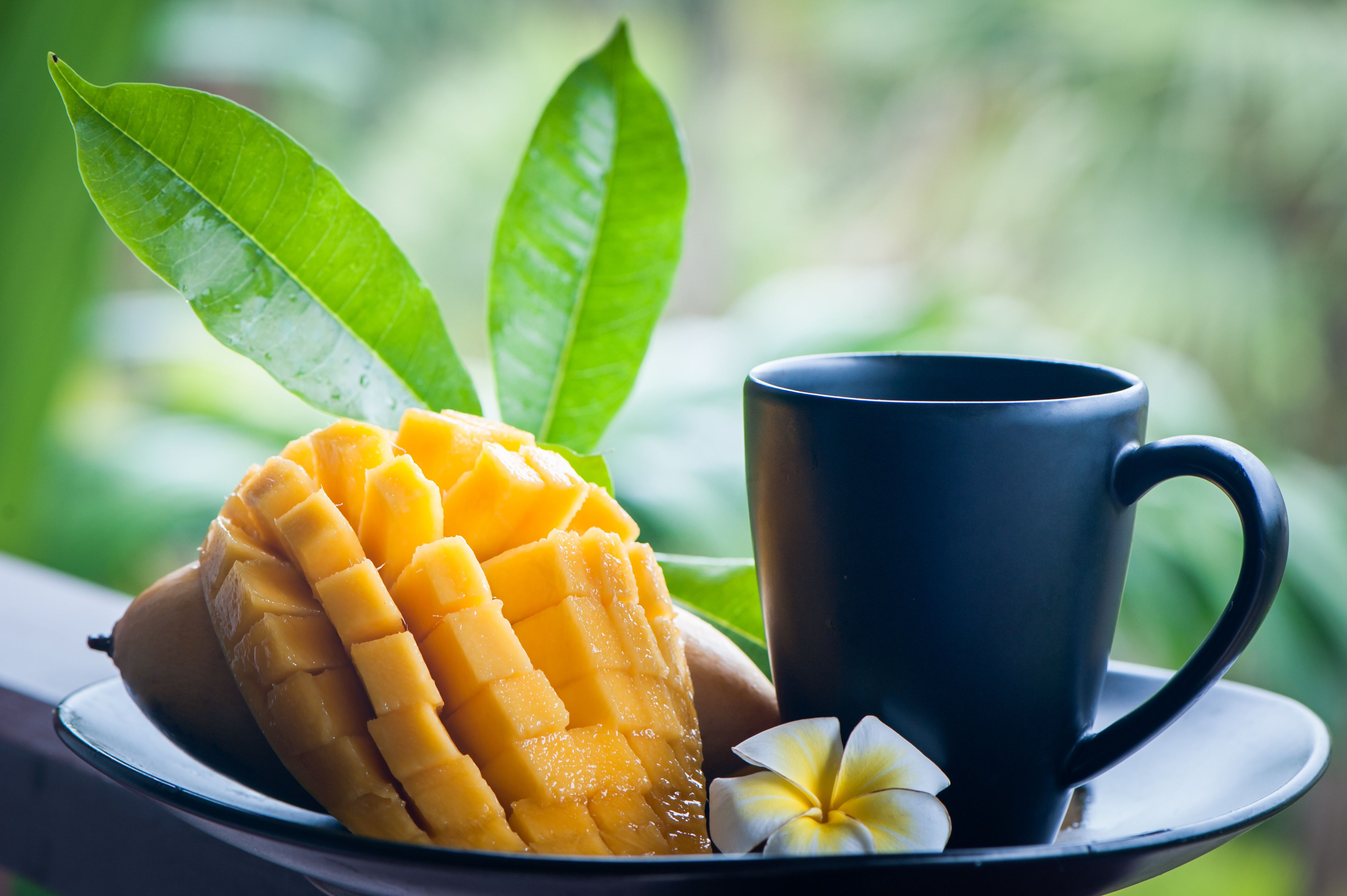 Té de <b>mango</b>. 