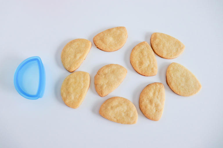 Watermelon Cookie Recipe