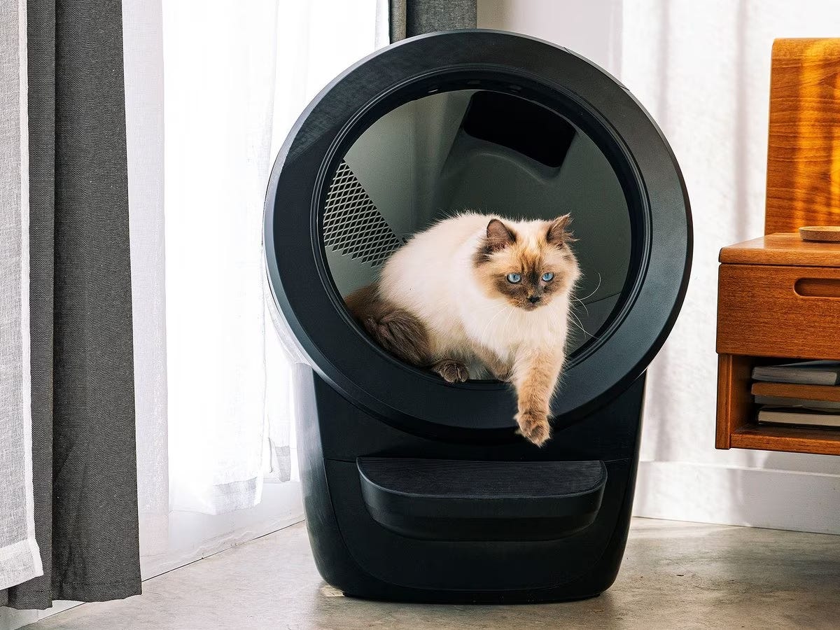 The 10 largest litter boxes for big cats and enthusiastic diggers