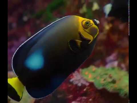 Aquarium kids birthday party places