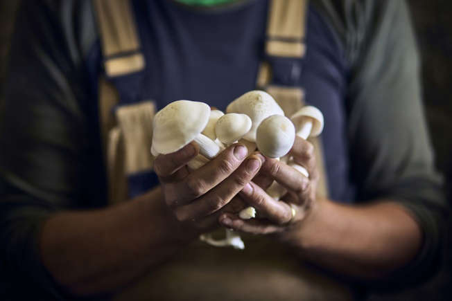 4) Mushrooms