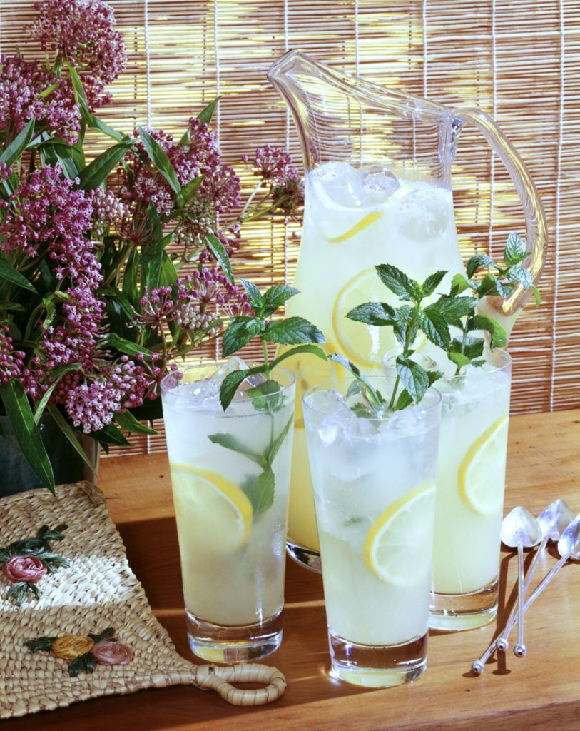 <p>Made using just a few ingredients, this homemade lemonade tastes better than the store-bought kind. We imagine this would pair well with grilled turkey burgers or barbecued chicken. </p><p>Get the recipe for Old Fashioned Lemonade from <a href="https://www.countryliving.com/food-drinks/a21348860/old-fashioned-lemonade-recipe/">Country Living</a>.</p>