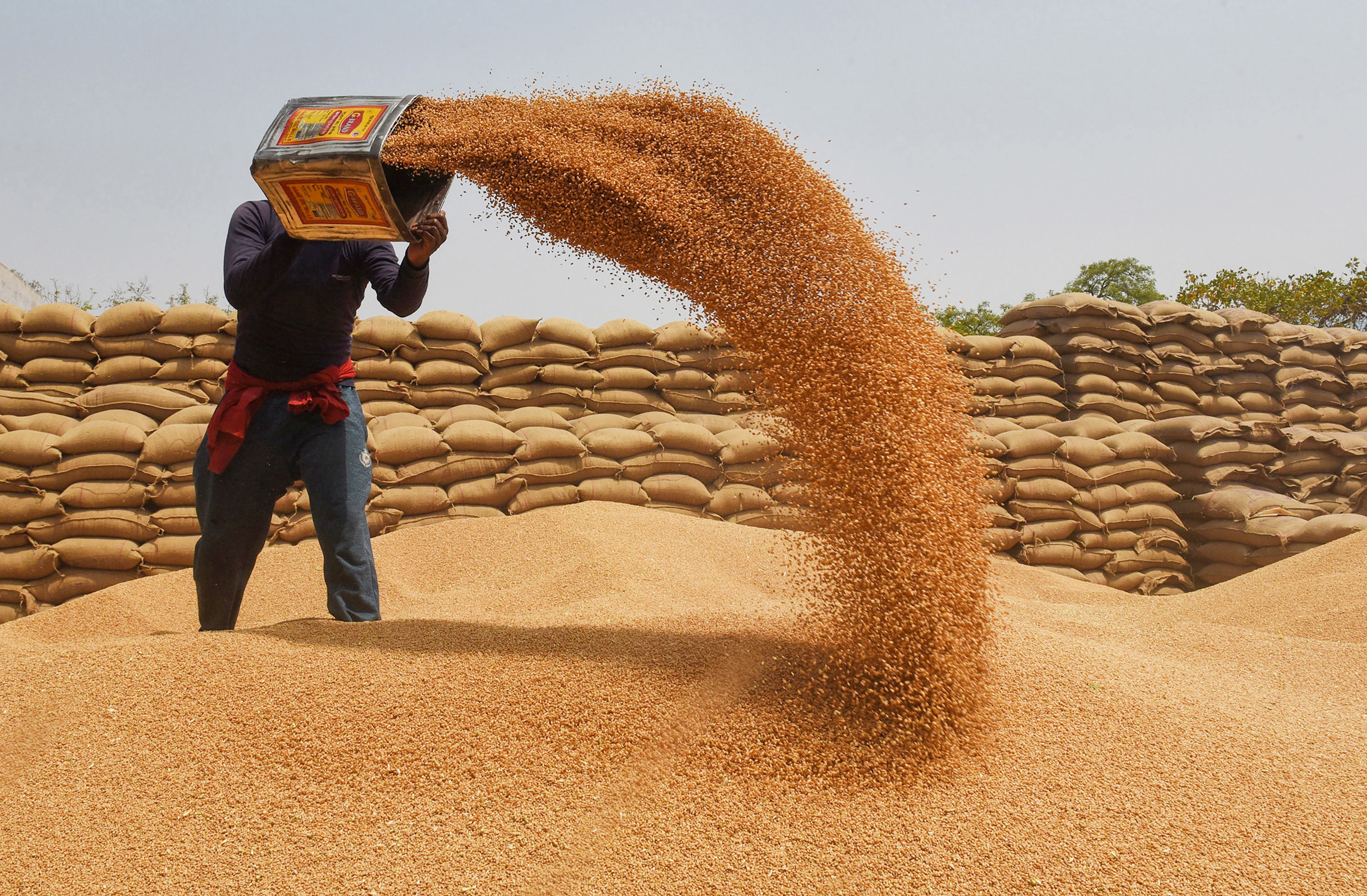 Govt to offload additional 50 lakh tons wheat, 25 lakh tons rice under OMSS  to check prices