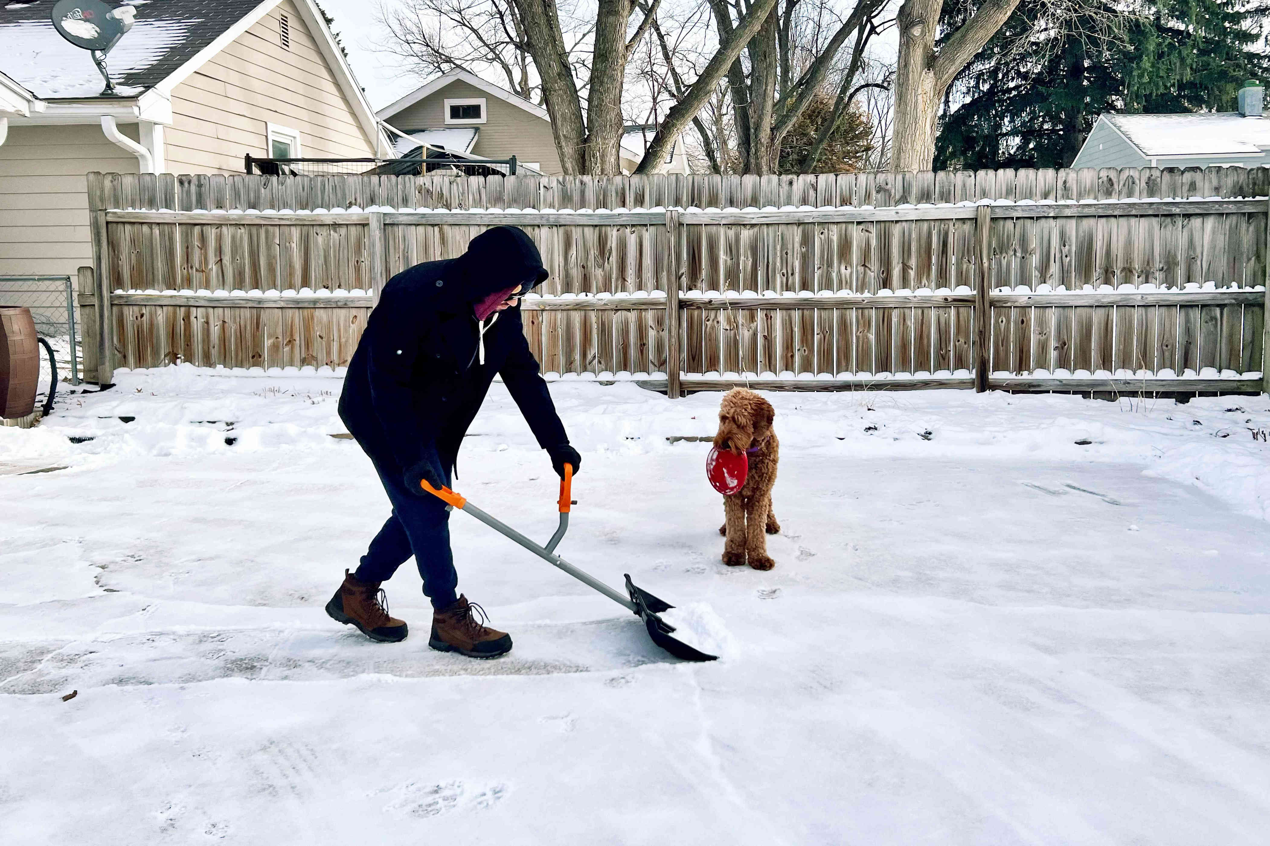 The 5 Best Snow Shovels Of 2024 According To Testing   AA1atLF2.img