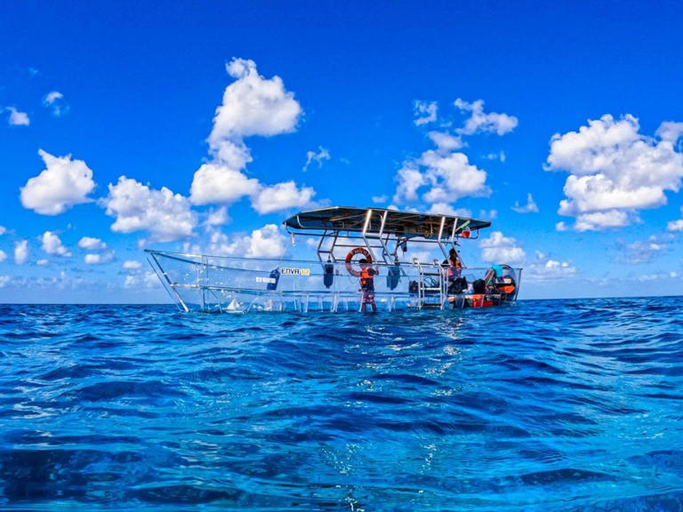 Are you interested in the Clear Boat Cozumel excursion and wondering if it’s worth it? You’ve come to the right place! A