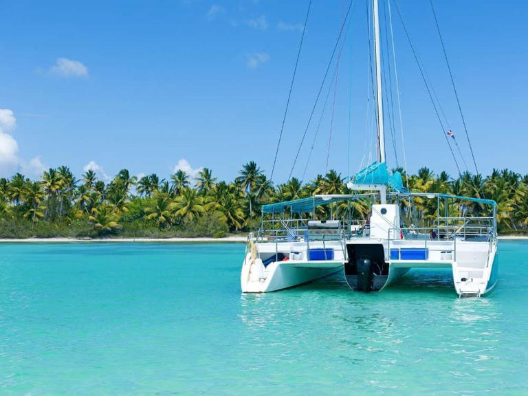 Looking for the best catamaran tours in Playa del Carmen? You’ve come to the right guide! As a travel blogger that lives