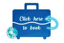 Blue suitcase with globe and arrow