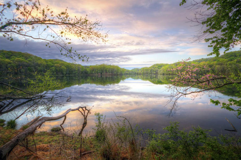 Malcolm MacGregor /Getty Radnor Lake State Park is a natural getaway from Nashville's busy social scene.