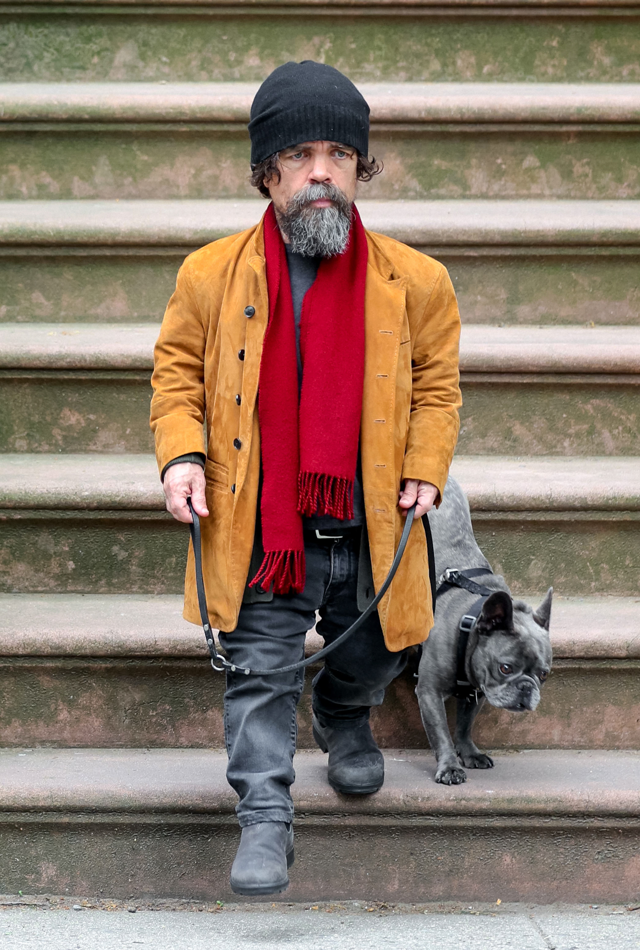 Diane Dinklage