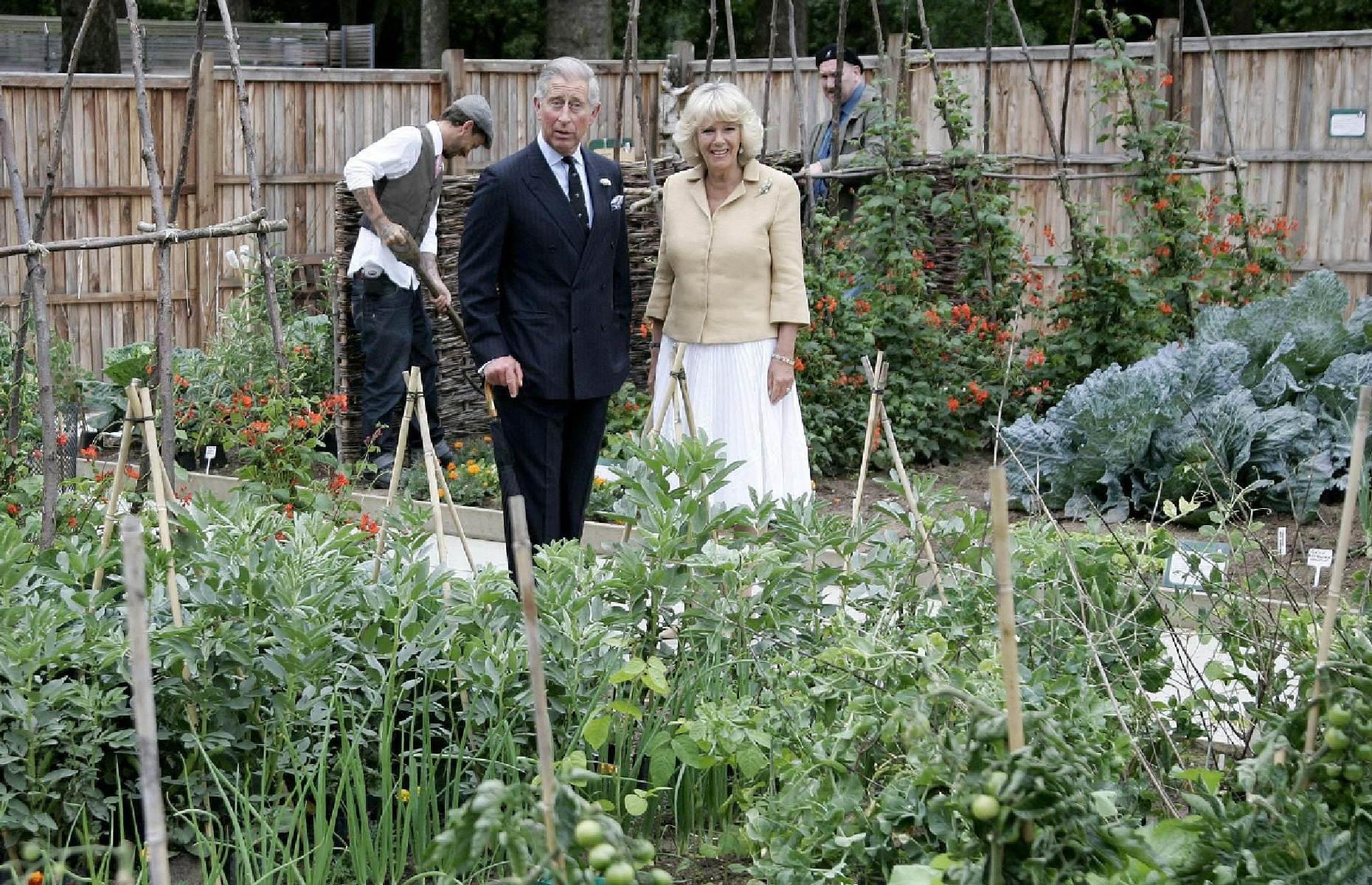 <p>Queen Camilla revealed that her and King Charles enjoy growing their own produce including broccoli, carrots and courgettes, adding: "I love the vegetable garden, and summer in particular. I’m very proud of my white peaches. My husband is an excellent gardener, and we’re quite competitive about our fruit and vegetables." The King has had his own 'garden kitchen' since 1985, calling gardening 'the most therapeutic business'.</p>
