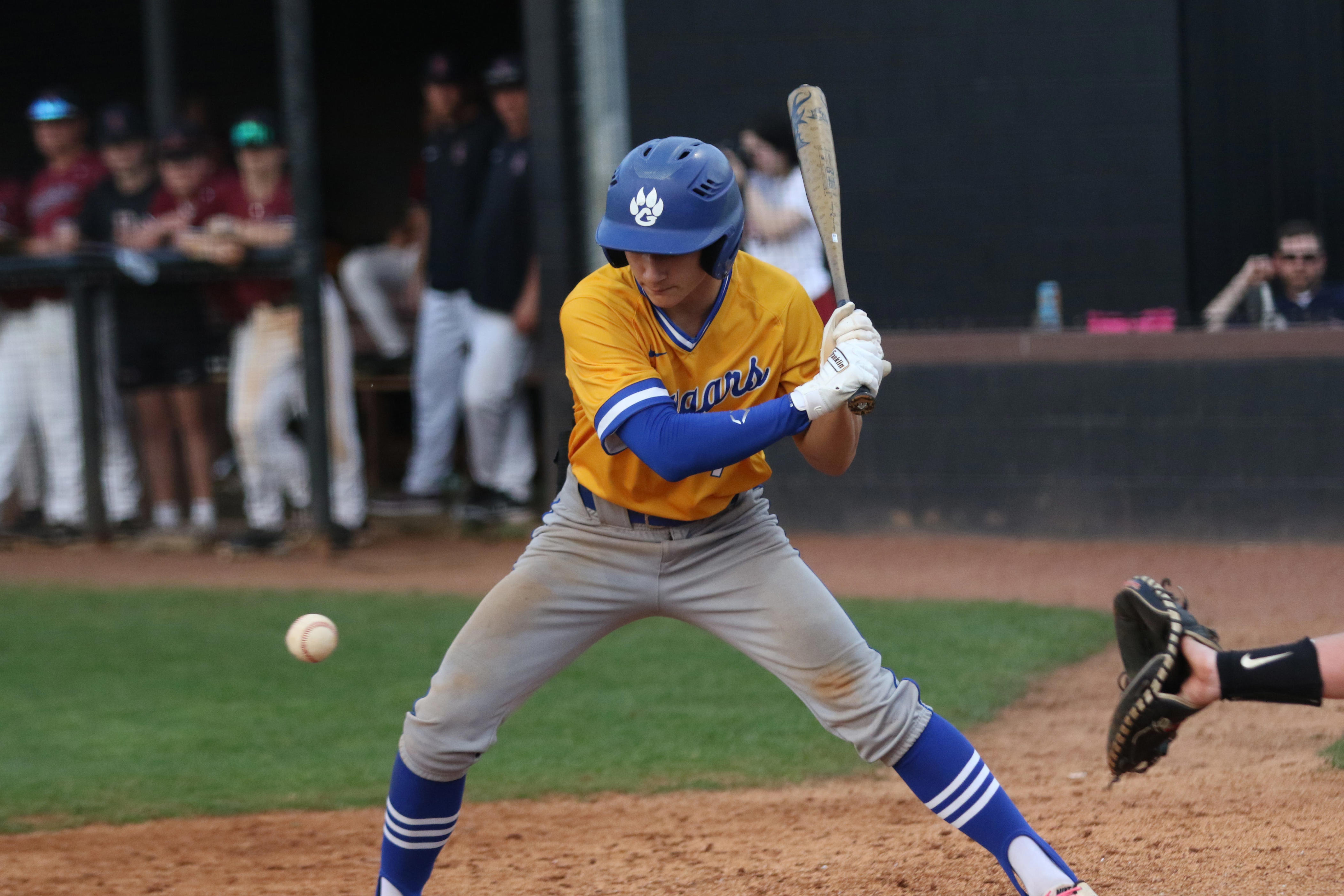 TSSAA Baseball: 7-RBI, 2-home Run Game Among Nashville Area Boys ...