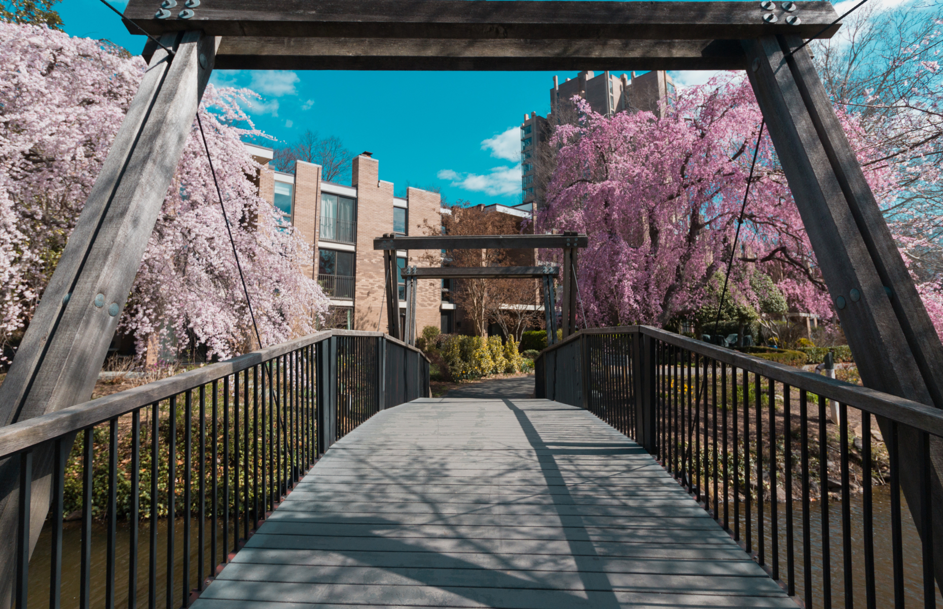 <p class="p1"><span>When the Lake Anne Plaza opened in 1966, it drew comparisons to the Piazza San Marco in Venice—and it’s easy to see why. The village’s main attraction is the <a href="https://www.funinfairfaxva.com/van-gogh-bridge-reston-virginia/" rel="noreferrer noopener"><span>Van Gogh Bridge</span></a> connecting the businesses to the residences of Washington Plaza, and described as “both infrastructure and art.”</span></p>