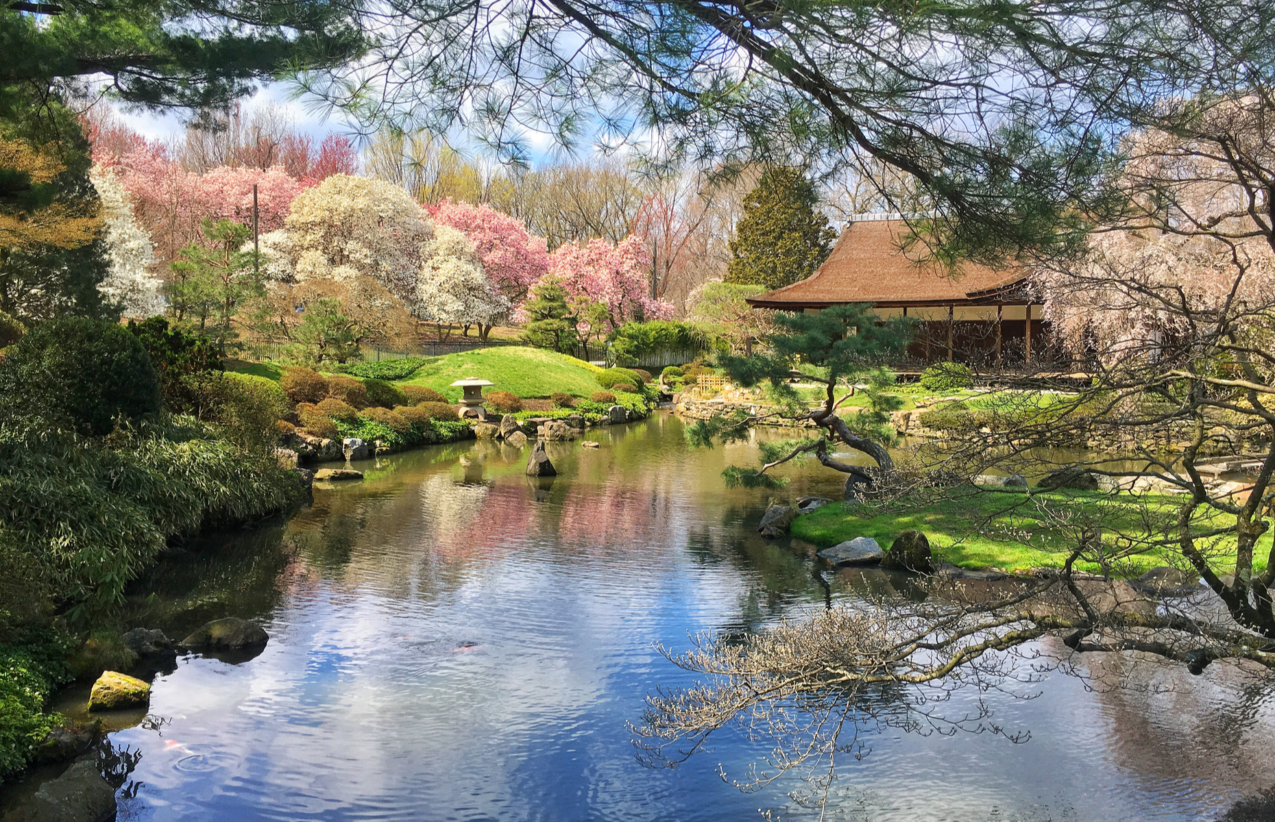 <p class="p1"><span>You might be surprised to learn that one of the country’s most beautiful Japanese gardens is located in Philadelphia. The <a href="http://japanphilly.org/shofuso/" rel="noreferrer noopener"><span>Shofuso Japanese House and Garden</span></a> was built in Japan in 1953 by renowned Japanese architect Junzō Yoshimura and sent to New York’s Museum of Modern Art before settling into West Fairmount Park in 1958. </span></p>