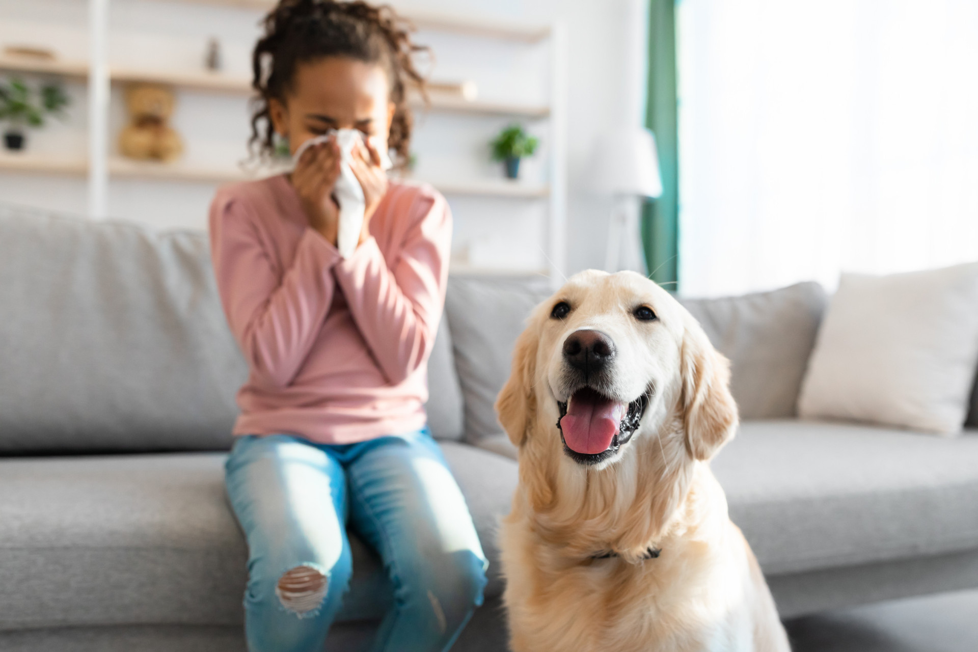 How to live with your pet if you're allergic