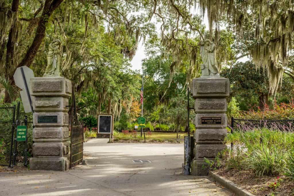 <p class="has-text-align-left"><em>Recommended by Sam of FindLoveandTravel.com</em></p> <p>Bonaventure Cemetery is easily one of the most unique places to add to your <a href="https://findloveandtravel.com/weekend-in-savannah-georgia-itinerary/" rel="noopener">Savannah itinerary</a>. It is located on a scenic bluff just east of the city. Not only is it the largest cemetery in Savannah, with over 100 acres, but likely one of the most famous as well. Originally a plantation, part of the land was sold to be a private cemetery in 1846. Eventually, Bonaventure Cemetery became public in 1907.</p> <p>So why is it so famous? Besides several notable people being buried here, including Johnny Mercer, the cemetery was featured in the Novel and movie Midnight in the Garden of Good and Evil. </p> <p>Furthermore, it is known as one of the most beautiful cemeteries sprawling with giant live oak trees blanketed in Spanish Moss. During springtime in Savannah, the cemetery is bursting with azalea blooms, giving the sense you really are walking through a garden rather than tombs. </p> <p>Like the rest of Savannah, the cemetery is indeed considered haunted. One of the most famous graves to visit is that of Little Gracie Watkins, who died when she was 6 of pneumonia. You can even consider taking a tour of the cemetery! </p> <p>You can visit the cemetery free Monday through Sunday, 8 a.m. – 5 p.m.</p>