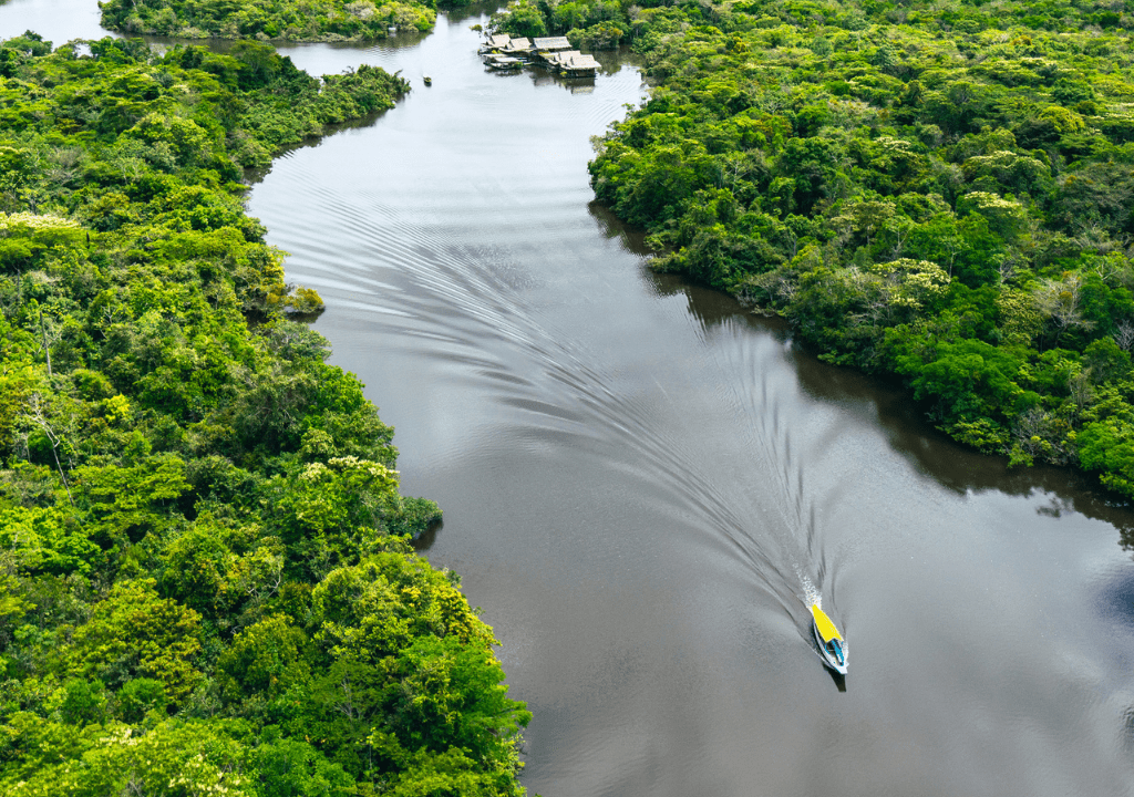 <p>If the thought of Antarctica chills you to the bone, let’s flip this bucket list to the other end of the travel spectrum: Taking a cruise in hot, tropical weather in the Amazon. </p> <p>Most Amazon River cruises leave from Iquitos, Peru, and Manaus, Brazil. The cruises range from budget to luxury 5-star options. You’ll get to try delicious local meals and may even pick up a new hobby like fishing for piranha. </p> <p>Although most tourists immediately think of the Amazon River when they hear the word “Amazon,” there are about 1,100 tributaries in the Amazon River Basin. So, you can opt to take a cruise along some of these tributaries rather than the main Amazon River.</p> <p>The cruises leaving from Puerto Maldonado, Peru, are an excellent example of tributary cruises. You can read about the differences between visiting Puerto Maldonado and Iquitos in my guide on Iquitos vs Puerto Maldonado.</p>